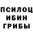 КОКАИН Fish Scale SisterGerda Astrolog