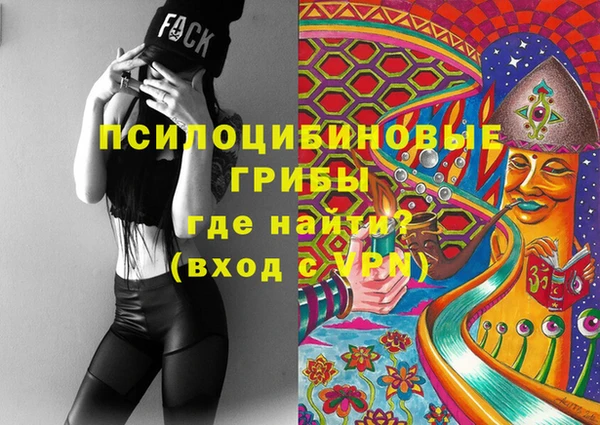 МДПВ Липки