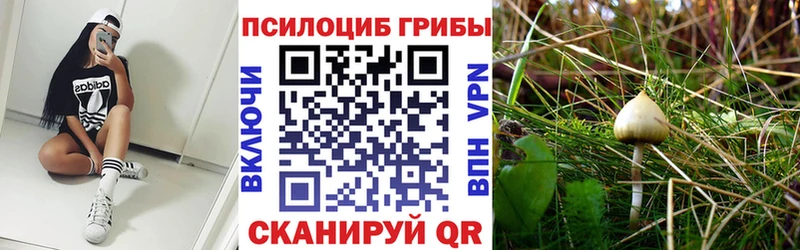 Купить Окуловка Псилоцибиновые грибы прущие грибы