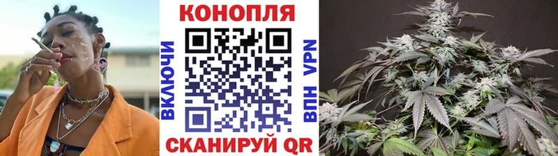 Бошки марихуана THC 21%  Купить закладки  Окуловка 